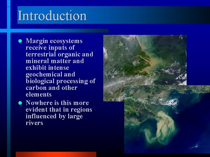 Introduction Margin ecosystems receive inputs of terrestrial organic and mineral matter and exhibit intense