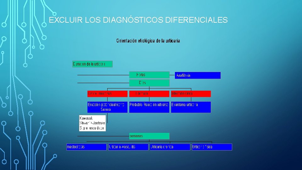 EXCLUIR LOS DIAGNÓSTICOS DIFERENCIALES EXCLUIR LOS DIAGNÓSTICOS DIFERENCIALES