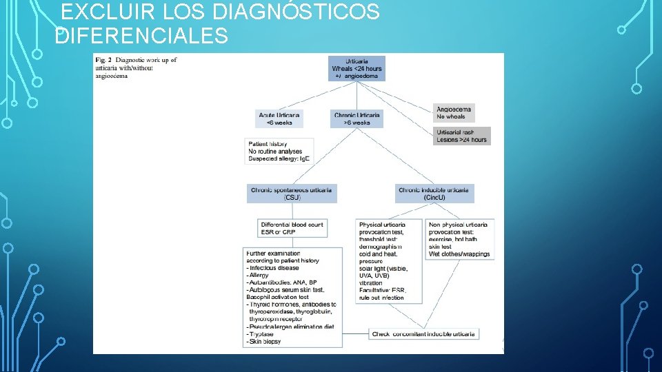 EXCLUIR LOS DIAGNÓSTICOS DIFERENCIALES EXCLUIR LOS DIAGNÓSTICOS DIFERENCIALES