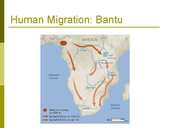 Human Migration: Bantu 