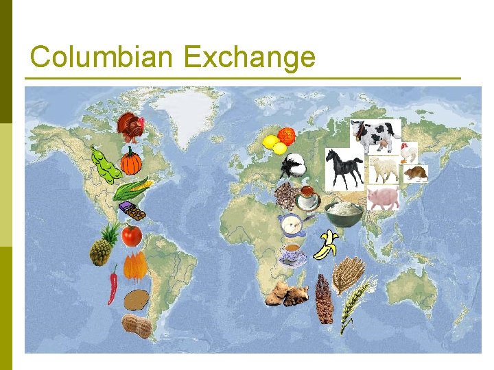 Columbian Exchange 