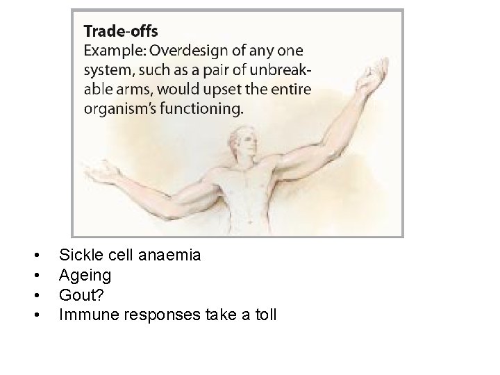  • • Sickle cell anaemia Ageing Gout? Immune responses take a toll 