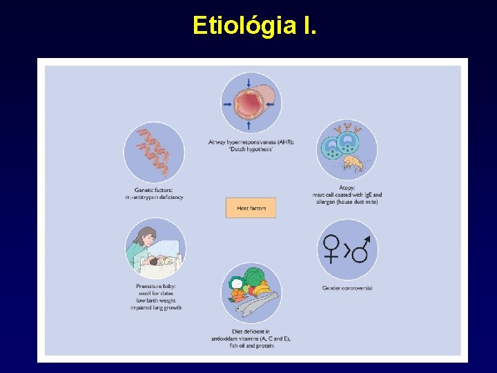 Etiológia I. 