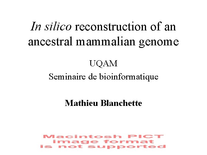 In silico reconstruction of an ancestral mammalian genome UQAM Seminaire de bioinformatique Mathieu Blanchette