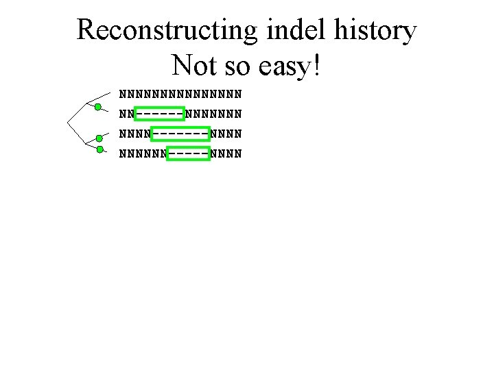 Reconstructing indel history Not so easy! NNNNNNNN NN------NNNNNNN-------NNNNNN-----NNNN 