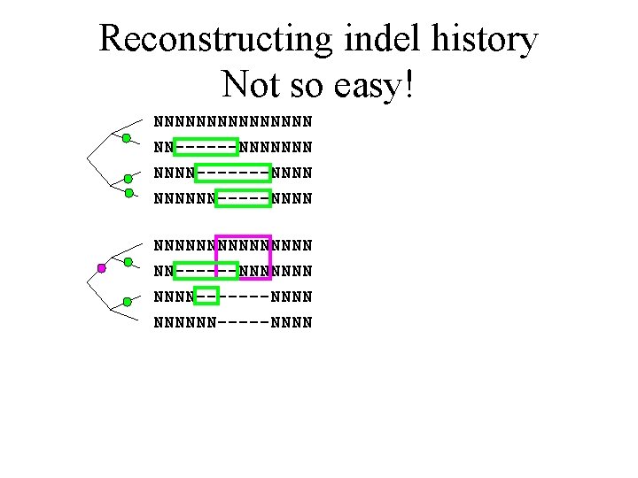 Reconstructing indel history Not so easy! NNNNNNNNNNNNNNN NN------NNNNNNN-------NNNNNN-----NNNN 