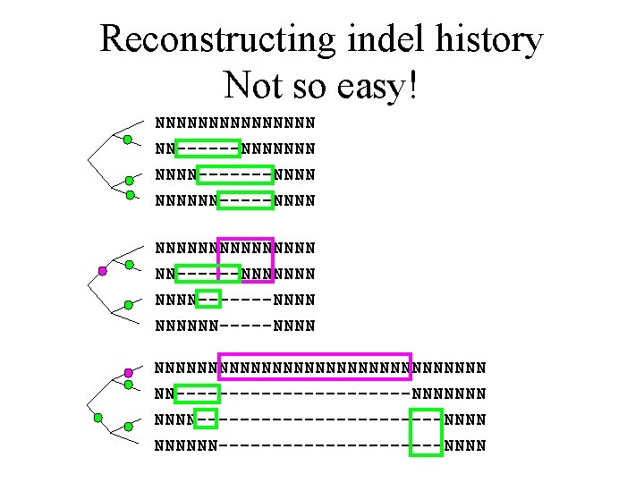 Reconstructing indel history Not so easy! NNNNNNNNNNNNNNN NN------NNNNNNN-------NNNNNN-----NNNNNNNNNNNNNNNN NN-----------NNNNNNN------------NNNNNN-----------NNNN 