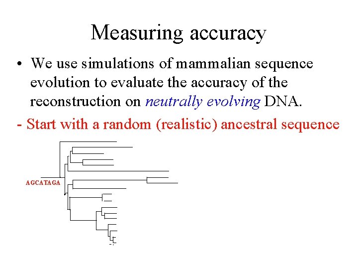 Measuring accuracy • We use simulations of mammalian sequence evolution to evaluate the accuracy