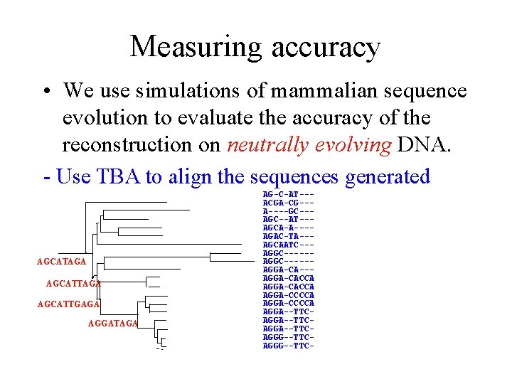 Measuring accuracy • We use simulations of mammalian sequence evolution to evaluate the accuracy