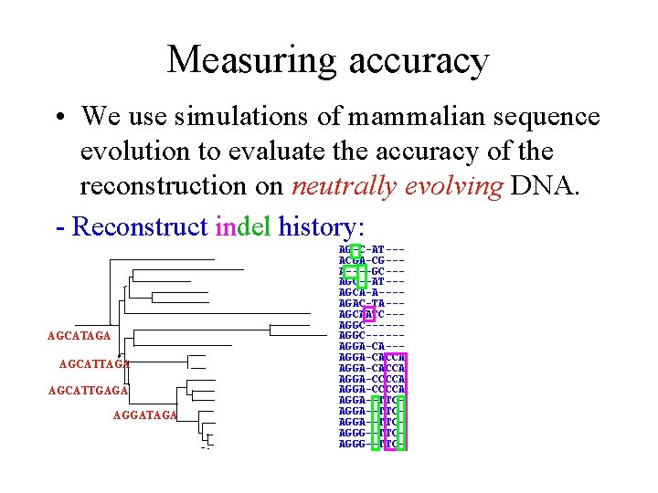 Measuring accuracy • We use simulations of mammalian sequence evolution to evaluate the accuracy