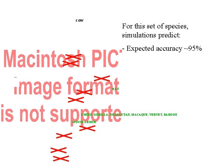 COW For this set of species, simulations predict: - Expected accuracy ~95% RAT CHIMP,