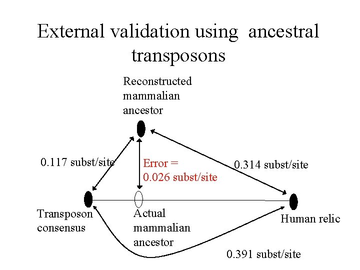 External validation using ancestral transposons Reconstructed mammalian ancestor 0. 117 subst/site Transposon consensus Error