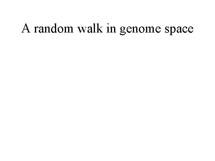 A random walk in genome space 