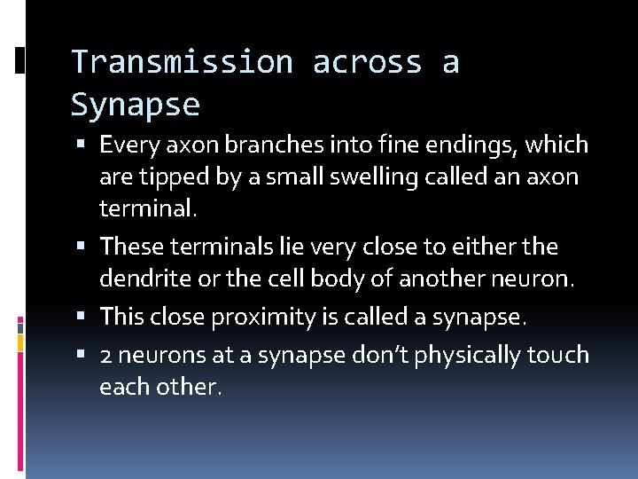 Transmission across a Synapse Every axon branches into fine endings, which are tipped by