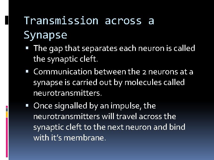 Transmission across a Synapse The gap that separates each neuron is called the synaptic