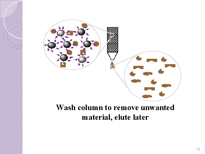 Wash column to remove unwanted material, elute later 13 