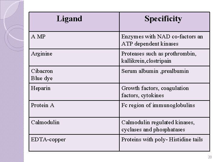 Ligand Specificity A MP Enzymes with NAD co-factors an ATP dependent kinases Arginine Proteases