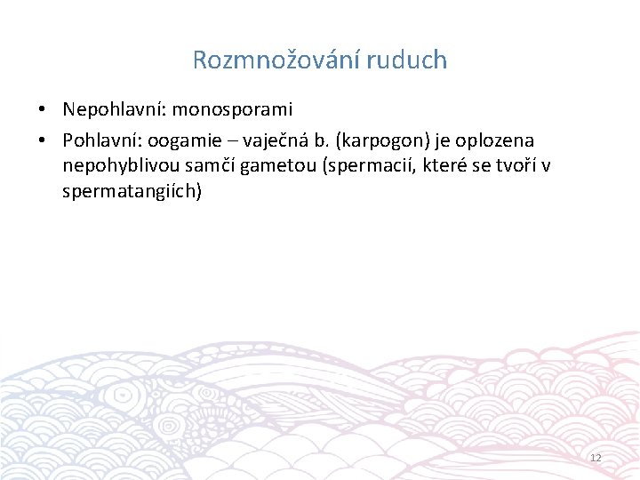 Rozmnožování ruduch • Nepohlavní: monosporami • Pohlavní: oogamie – vaječná b. (karpogon) je oplozena