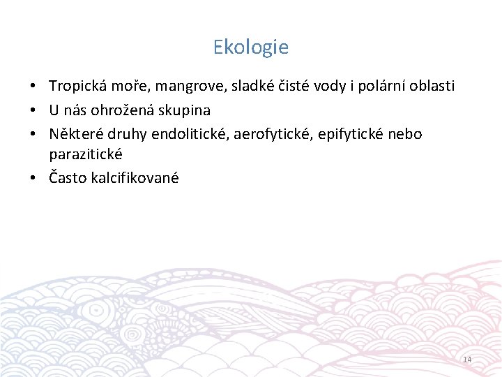 Ekologie • Tropická moře, mangrove, sladké čisté vody i polární oblasti • U nás