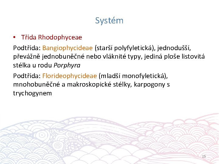 Systém • Třída Rhodophyceae Podtřída: Bangiophycideae (starší polyfyletická), jednodušší, převážně jednobuněčné nebo vláknité typy,