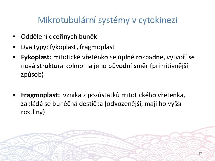 Mikrotubulární systémy v cytokinezi • Oddělení dceřiných buněk • Dva typy: fykoplast, fragmoplast •