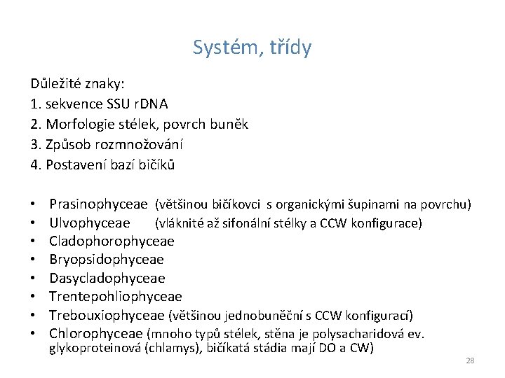 Systém, třídy Důležité znaky: 1. sekvence SSU r. DNA 2. Morfologie stélek, povrch buněk