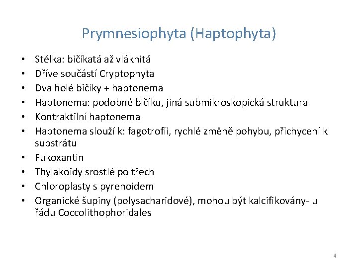 Prymnesiophyta (Haptophyta) • • • Stélka: bičíkatá až vláknitá Dříve součástí Cryptophyta Dva holé