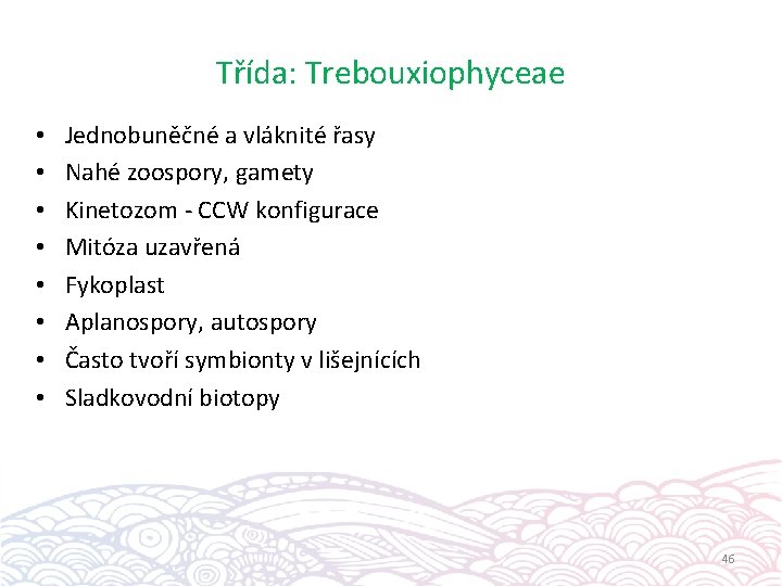 Třída: Trebouxiophyceae • • Jednobuněčné a vláknité řasy Nahé zoospory, gamety Kinetozom - CCW