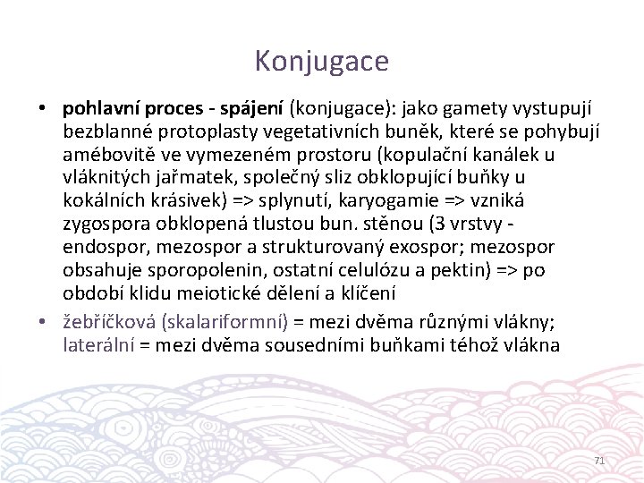 Konjugace • pohlavní proces - spájení (konjugace): jako gamety vystupují bezblanné protoplasty vegetativních buněk,