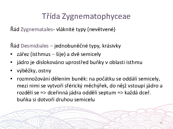 Třída Zygnematophyceae Řád Zygnematales- vláknité typy (nevětvené) Řád Desmidiales – jednobuněčné typy, krásivky •