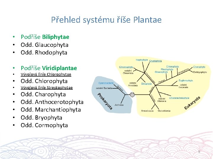 Přehled systému říše Plantae • Podříše Biliphytae • Odd. Glaucophyta • Odd. Rhodophyta •