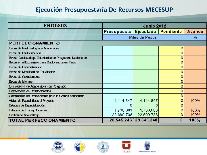 Ejecución Presupuestaria De Recursos MECESUP 