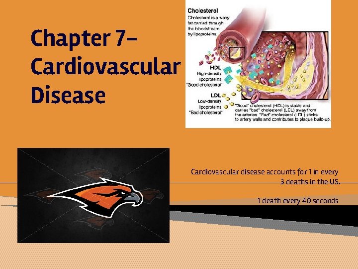 Chapter 7 Cardiovascular Disease Cardiovascular disease accounts for 1 in every 3 deaths in