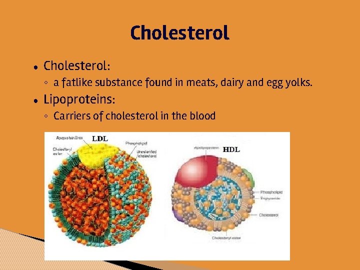 Cholesterol ● Cholesterol: ◦ a fatlike substance found in meats, dairy and egg yolks.