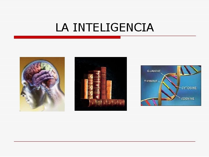 LA INTELIGENCIA 