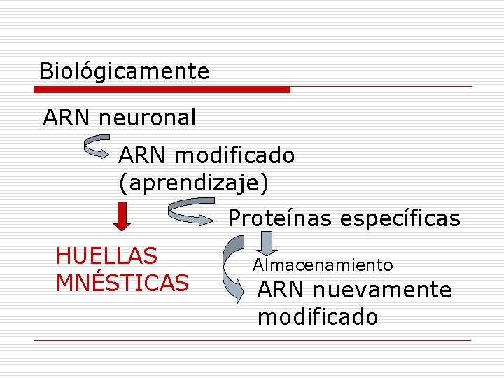 Biológicamente ARN neuronal ARN modificado (aprendizaje) Proteínas específicas HUELLAS MNÉSTICAS Almacenamiento ARN nuevamente modificado