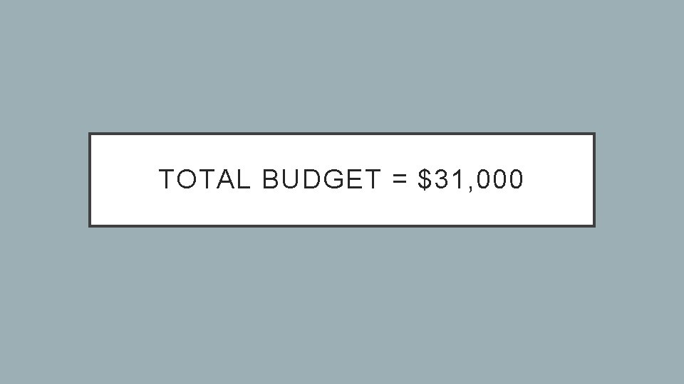 TOTAL BUDGET = $31, 000 