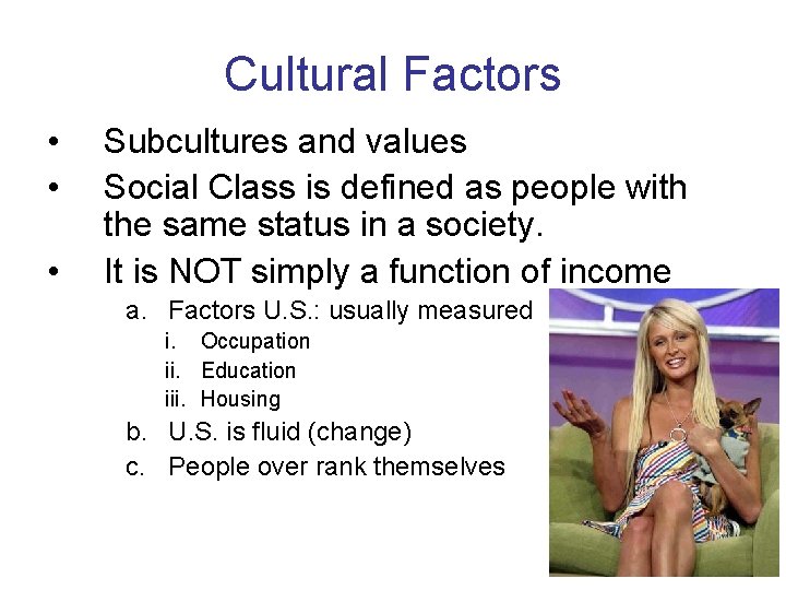 Cultural Factors • • • Subcultures and values Social Class is defined as people