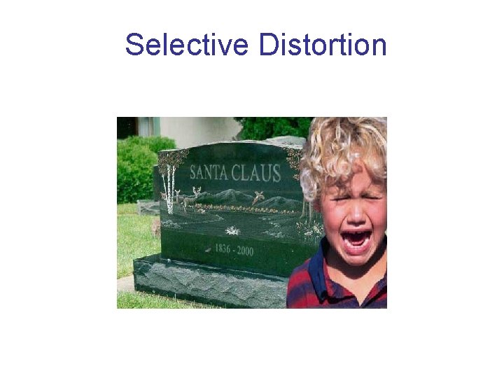 Selective Distortion 