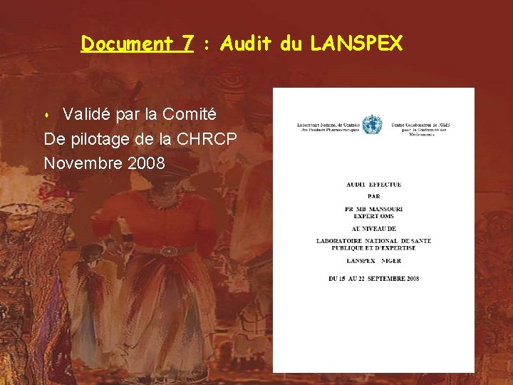 Document 7 : Audit du LANSPEX Validé par la Comité De pilotage de la