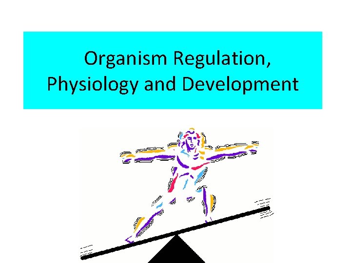 Organism Regulation, Physiology and Development 