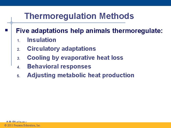 Thermoregulation Methods § Five adaptations help animals thermoregulate: 1. 2. 3. 4. 5. AP