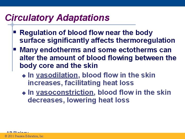 Circulatory Adaptations § Regulation of blood flow near the body § surface significantly affects