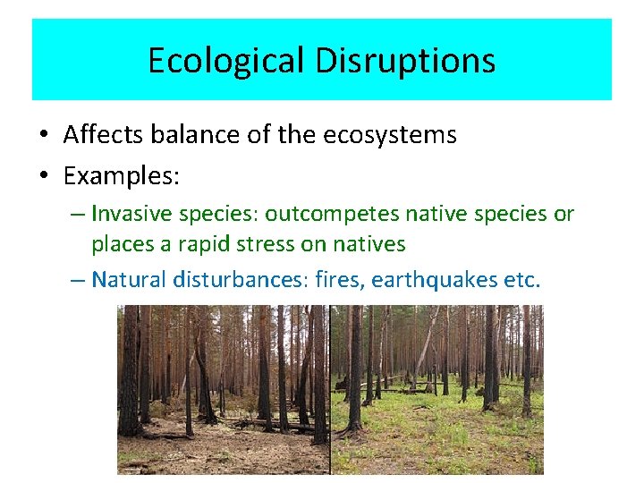 Ecological Disruptions • Affects balance of the ecosystems • Examples: – Invasive species: outcompetes