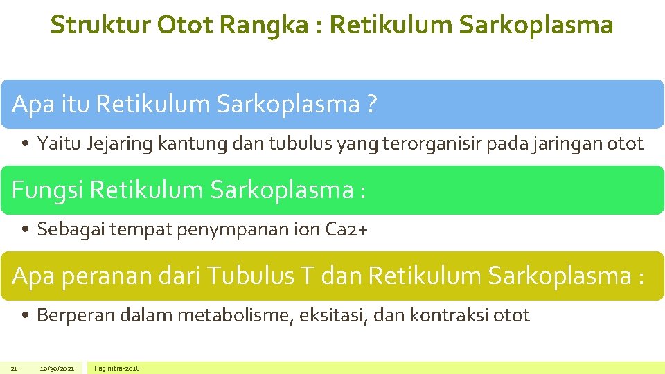 Struktur Otot Rangka : Retikulum Sarkoplasma Apa itu Retikulum Sarkoplasma ? • Yaitu Jejaring