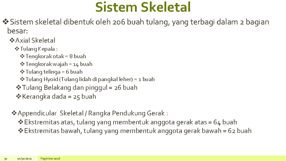 Sistem Skeletal v. Sistem skeletal dibentuk oleh 206 buah tulang, yang terbagi dalam 2