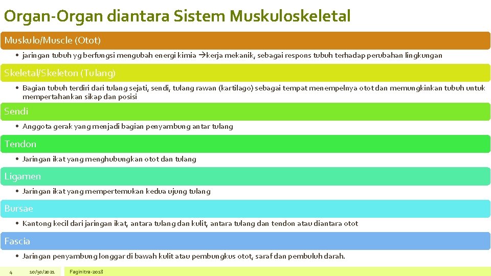 Organ-Organ diantara Sistem Muskuloskeletal Muskulo/Muscle (Otot) • jaringan tubuh yg berfungsi mengubah energi kimia