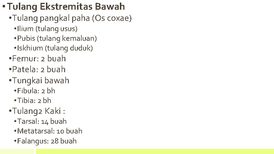  • Tulang Ekstremitas Bawah • Tulang pangkal paha (Os coxae) • Ilium (tulang