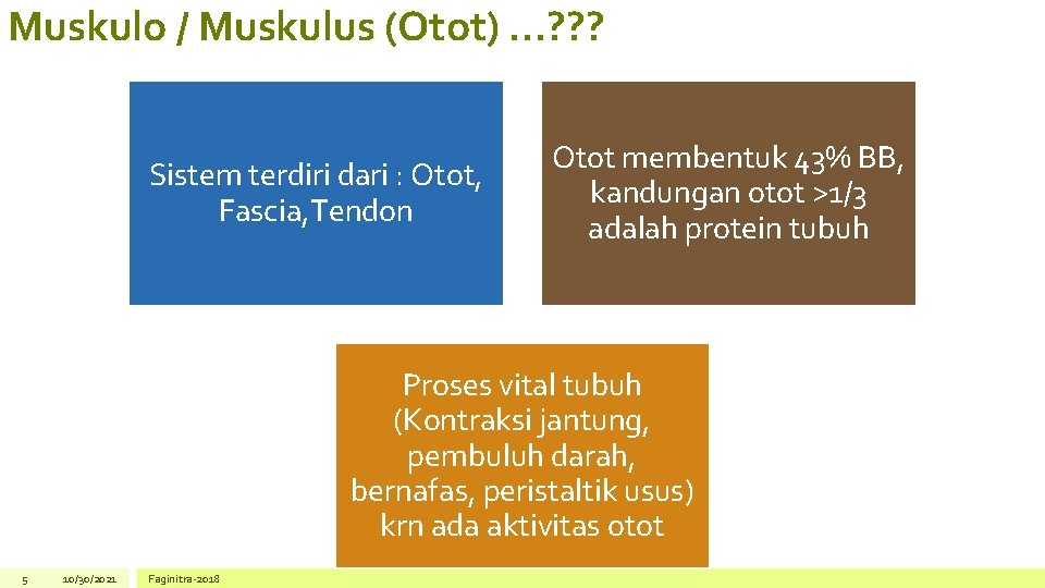 Muskulo / Muskulus (Otot). . . ? ? ? Sistem terdiri dari : Otot,