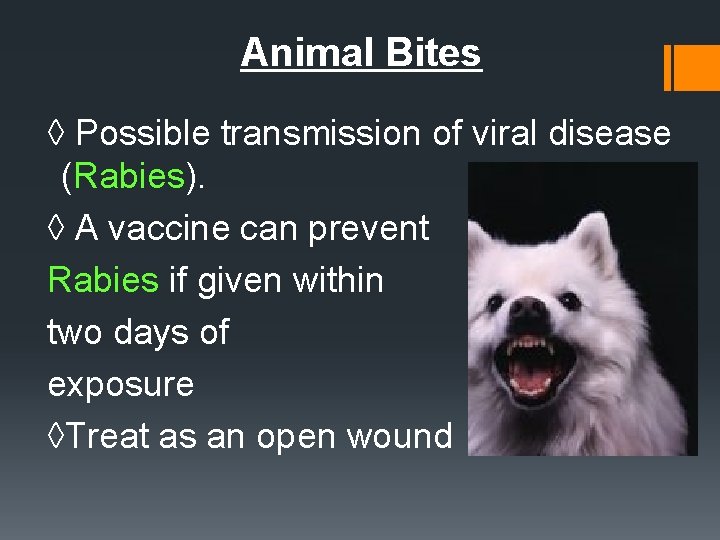 Animal Bites ◊ Possible transmission of viral disease (Rabies). ◊ A vaccine can prevent